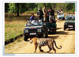 jeep-safari-india