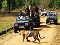 jeep-safari