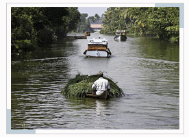 kottayam-backwater